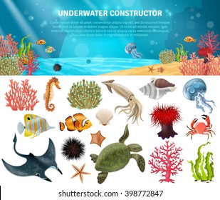 Sea life animals plants and landscape cartoon icons constructor set vector illustration