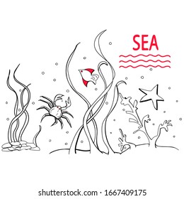 Sea life, aquarium, ocean and seaweed, corals, crab, fish, star.Vector illustration on isolated white background. Doodle, art line. For greeting cards, decor, print for t-shirts, brochures, flyers.