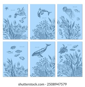 Meereslebewesen Hintergrund in blauer Farbe mit Tintenfisch, Delfin, Wal, Meeresschildkröte, Qualle, Fisch, Algen Pflanzen, Laminaria, Fucus, Korallen, Muscheln.