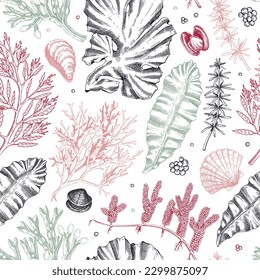 Sea life background in color. Edible seaweed seamless pattern. Hand-drawn kelp, kombu, wakame, hijiki, sea shells illustrations. Underwater plants and algae sketches. For print, menu design or textile