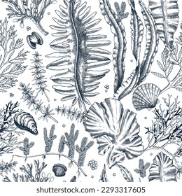 Sea life background. Edible seaweed seamless pattern. Hand-drawn kelp, kombu, wakame, hijiki, sea shells illustrations. Underwater plants and algae sketches style. For print, menu design or wrapping