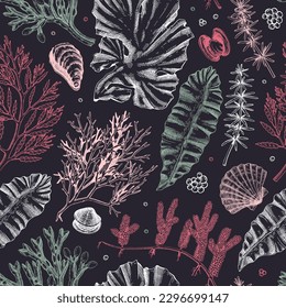 Sea life background. Edible seaweed seamless pattern. Hand-drawn kelp, kombu, wakame, hijiki, sea shells illustrations. Underwater plants and algae sketches. For print, menu design or wrapping paper