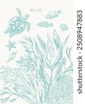 Sea life background in light green color with sea turtle, fish, starfish, seaweed plants, laminaria, fucus, corals, seashells.