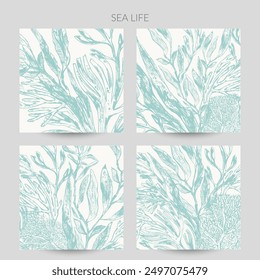 Sea life background in light green color with seaweed plants, laminaria, fucus, corals, seashells.