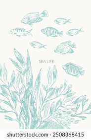 Sea life background in light green color with coral fish, seaweed plants, laminaria, fucus, corals, seashells.