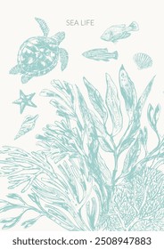 Sea life background in light green color with sea turtle, fish, starfish, seaweed plants, laminaria, fucus, corals, seashells.