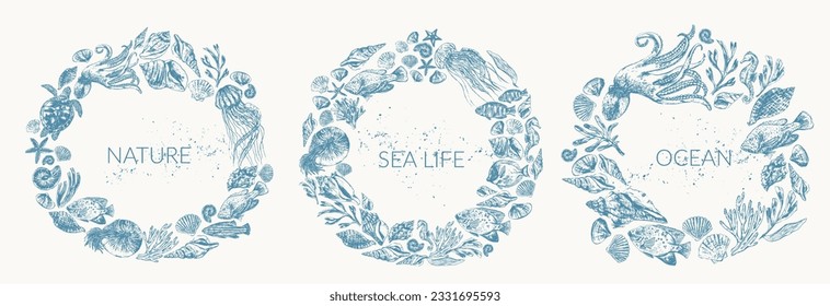 Sea life background wirh sea animals and fish illustration, nautilus, shells, seahorse, starfish, seaweed, corals. Ocean border frame for summer and beauty design.