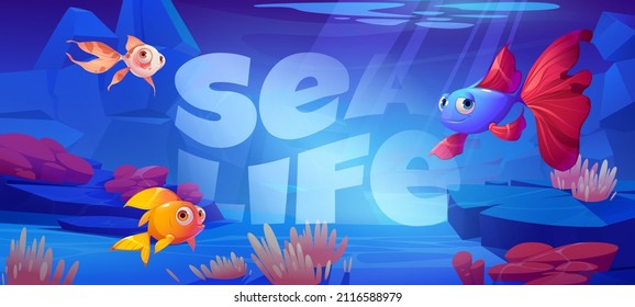 Sea life cartoon banner with cute tropical fishes at coral reef underwater background for game or book cover. Marine ocean animals, undersea wildlife with seaweeds grow at rocks, Vector illustration