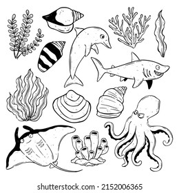 Sea life collection hand drawn. Vector ocean creatures with dolphin, seaweed, shark, stingray and octopus