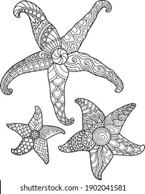 Starfish Mandala Hd Stock Images Shutterstock