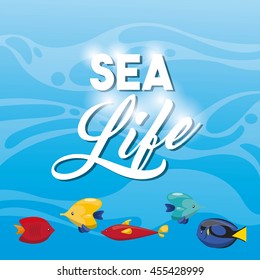 Sea life concept represented by tropical fish icon. Colorfull illustration. 