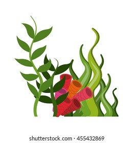 Sea life concept represented by coral and algae icon. Colorfull and flat illustration. 