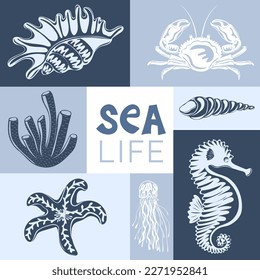 Sea life. Creative aesthetic graphic poster. Underwater animals: starfish, shells, corals. Ideal for postcard, advertisement, book, poster, banner. Vector illustration