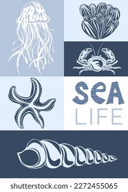 Sea life. Creative aesthetic graphic poster. Underwater animals: starfish, shells, corals. Ideal for postcard, advertisement, book, poster, banner. Vector illustration