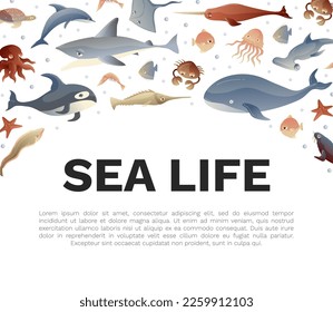 Sea Life and Creature Banner Design Vector Template