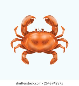 Sea Life Creature Crab Watercolor Painting 