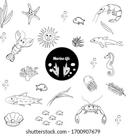 Sea life creatures collection. Vector ocean creatures isolated on white background. Coloring book page, stickers.  Art element for design.