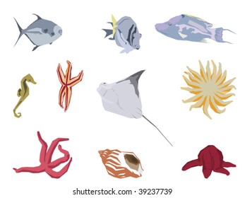 sea life design elements