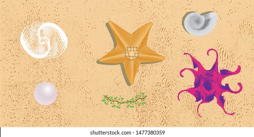 Sea life. Design elements on the sand. Vector illustration