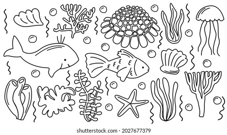 Sea life doodle set. Collection of hand drawn illustration: fish, shells, different seaweeds, shingle urchin. Isolated vector set.