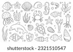 Sea life doodle set. Marine life elements. Sea animals, fish, shrimp, algae, corals, turtle, dolphin in sketch style. Hand drawn vector illustration isolated on white background