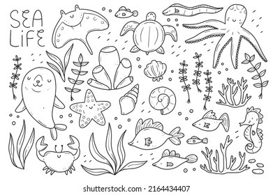 Sea life doodle set. Marine animals in linear style. Collection of marine elements. Vector isolated illustration.