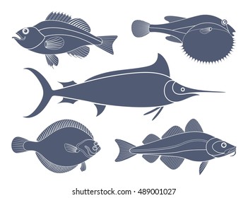 Sea life. Exotic fish on white background. EPS 10. Vector illustration