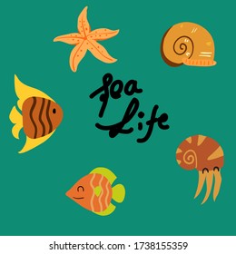 sea life fish sea animal background