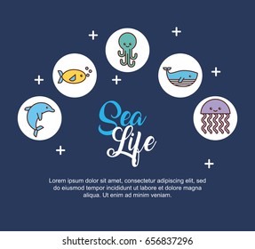 sea life flat draw
