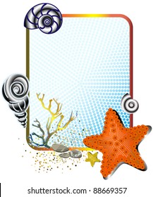Sea life in frame with starfish
