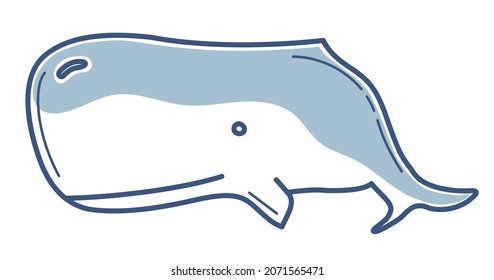 Sea life  hand drawn blue line vector sperm whale isolated.
