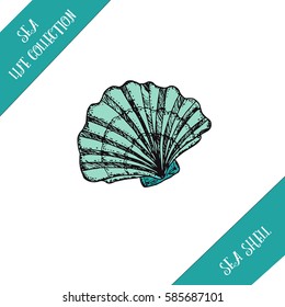 Sea life hand drawn collection. Sea shell sketch. Vector stock illustration. Colored sketch. 