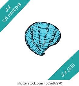 Sea life hand drawn collection. Sea shell sketch. Vector stock illustration. Colored sketch. 