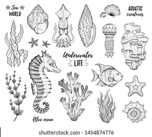 Juego de iconos de vida marina. Gallo de concha de algas marinas con peces tropicales de la estrella de coral. Esbozar elementos gráficos. Arte grabado en línea negra bajo el agua. Ilustración vectorial hecha a mano fría aislada en blanco