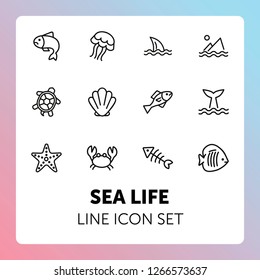 Sea life line icon set. Fish, shark, turtle. Wildlife concept. Can be used for topics like seafood, ecology, fishing