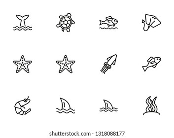 Sea life line icon set. Turtle, shark, squid. Nature concept. Can be used for topics like diving, aquarium, ocean