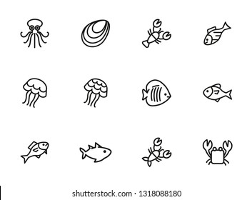 Sea life line icon set. Seashell, jelly, crab. Nature concept. Can be used for topics like diving, ocean, seafood market