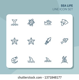 Sea life line icon set. Turtle, shark, squid. Nature concept. Can be used for topics like diving, aquarium, ocean