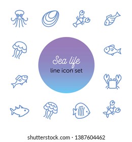Sea life line icon set. Seashell, jelly, crab. Nature concept. Can be used for topics like diving, ocean, seafood market