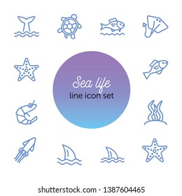 Sea life line icon set. Turtle, shark, squid. Nature concept. Can be used for topics like diving, aquarium, ocean
