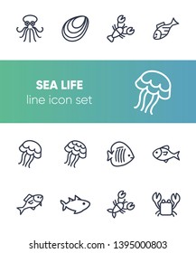 Sea life line icon set. Seashell, jelly, crab. Nature concept. Can be used for topics like diving, ocean, seafood market