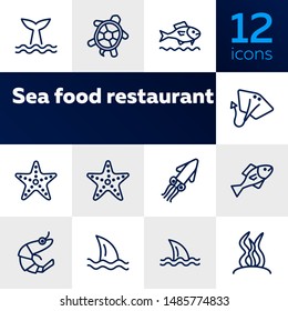 Sea life line icon set. Turtle, shark, squid. Nature concept. Can be used for topics like diving, aquarium, ocean