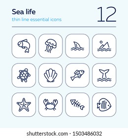 Sea life line icon set. Fish, shark, turtle. Wildlife concept. Can be used for topics like seafood, ecology, fishing