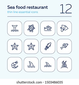 Sea life line icon set. Turtle, shark, squid. Nature concept. Can be used for topics like diving, aquarium, ocean