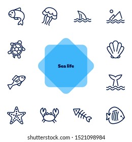 Sea life line icon set. Fish, shark, turtle. Wildlife concept. Can be used for topics like seafood, ecology, fishing