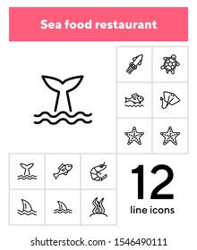 Sea life line icon set. Turtle, shark, squid. Nature concept. Can be used for topics like diving, aquarium, ocean