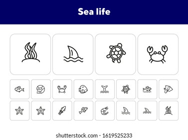 Sea life line icon set. Turtle, shark, squid. Nature concept. Can be used for topics like diving, aquarium, ocean