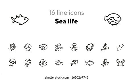 Sea life line icon set. Seashell, jelly, crab. Nature concept. Can be used for topics like diving, ocean, seafood market