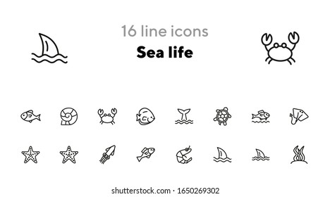 Sea life line icon set. Turtle, shark, squid. Nature concept. Can be used for topics like diving, aquarium, ocean