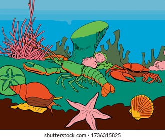 Sea life - Lobster, crab, starfish and shells in the coral reef